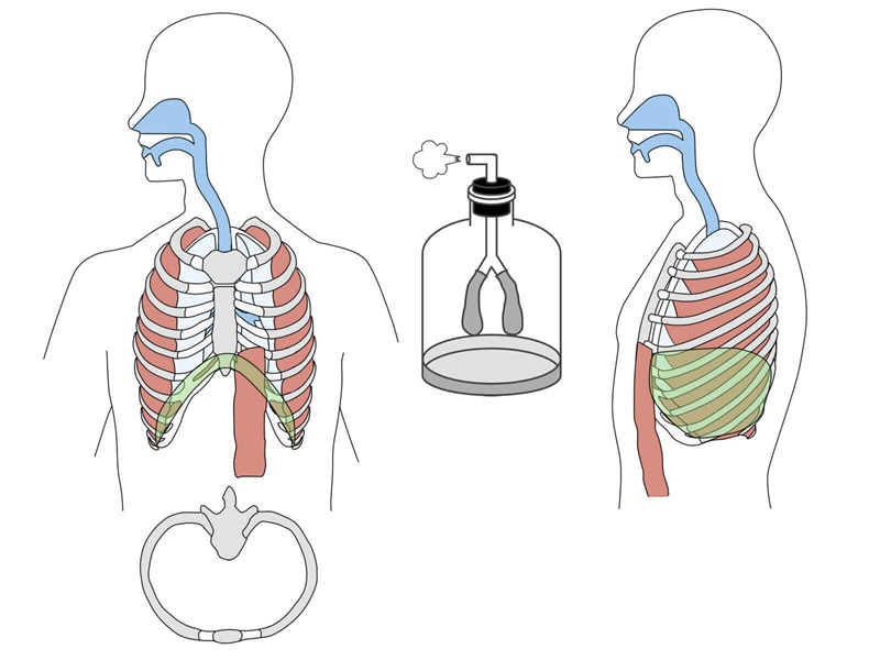 息苦しさと胸郭運動